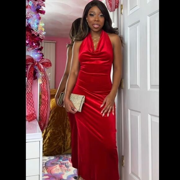 NWT ZARA VELVET MIDI DRESS - Picture 5 of 15